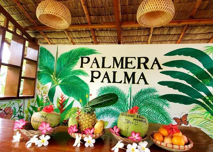 Palmera Palma Garden Level Gasthuis
