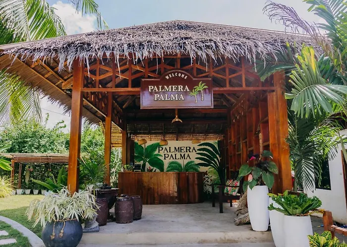 Palmera Palma Garden Level Gasthuis Moalboal